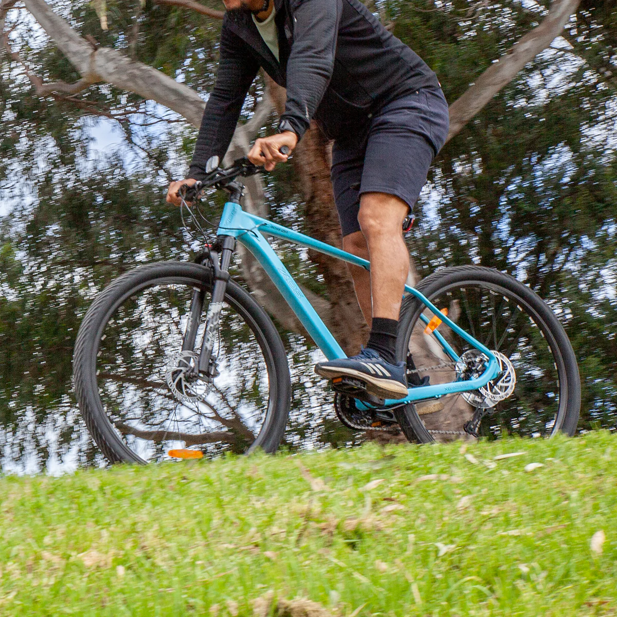 Boss 4.0 - Image 2